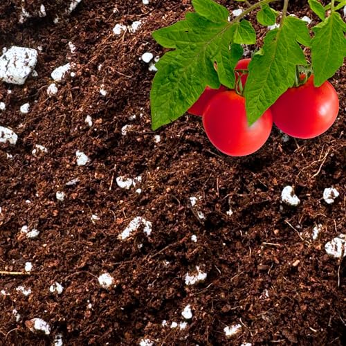 GARDENWISE Coco Perlite - Coco Coir Perlite Mix - 70/30 Growing Media - Hydroponic, Indoor & Outdoor, Grow Bags & House Plants (1 Quart) - color: Coco Coir Perlite Mix 70/30, size: 1 qt