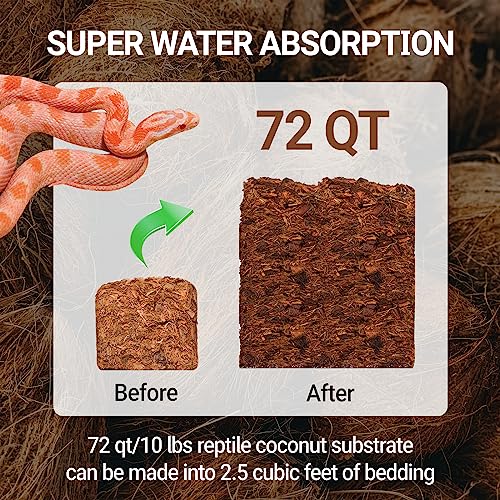 REPTI ZOO 72 Quart Reptiles Coconut Chip Substrate, Coco Husk Reptiles Bedding for Ball Python, Snakes, Geckos, Lizards, Tortoises, Frogs | Terrarium Tanks Substrate - style: Coconut Chip Substrate