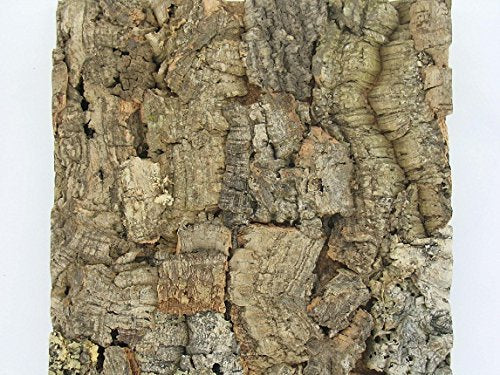 Jelinek Cork Natural Bark Wall Tile 12 x 12 Inch