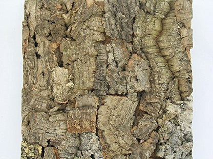 Jelinek Cork Natural Bark Wall Tile 12 x 12 Inch