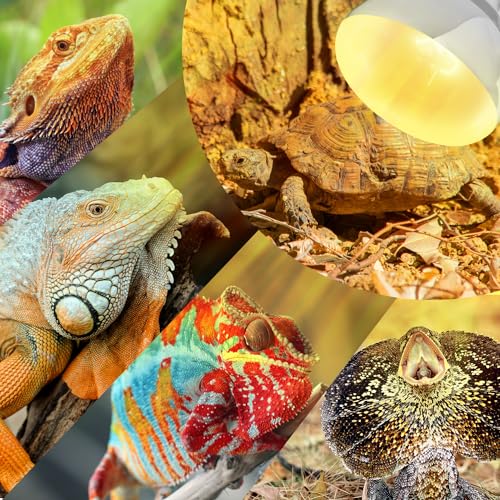 REPTI ZOO 100W Reptile Heat Lamp UVA UVB Reptile Light, Full Spectrum Self-Ballasted Vapor Basking Sunlight Bulb for Reptile and Amphibian Use E26