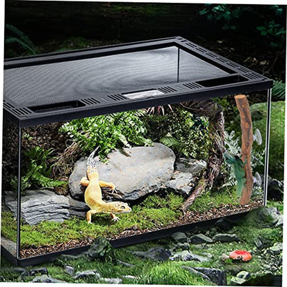 Reptile Climbing Branch Suction Cups Natural Grapevine Wood Lizard Toy for Terrarium Decor for Bearded Dragons and Geckos 12-inch Length