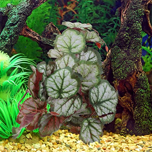 Ipetboom Suction Cups for Hanging Plants Reptile Plants Terrarium Plants Leaf for Reptile Terrarium Plants Indoor Reptile Tank Decor Plant for Reptile Terrarium Hanging Reptile Habitat