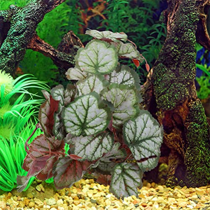 Ipetboom Suction Cups for Hanging Plants Reptile Plants Terrarium Plants Leaf for Reptile Terrarium Plants Indoor Reptile Tank Decor Plant for Reptile Terrarium Hanging Reptile Habitat