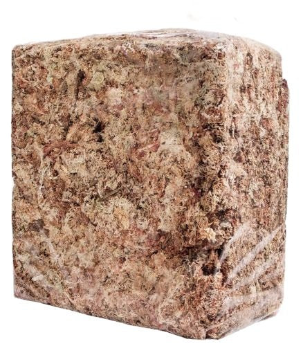 Peruvian Moss: Organic Sphagnum Moss for Orchids, Succulents, Indoor Plants & Reptile Substrate - 1 Kilo