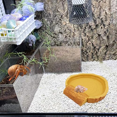 Hermit Crab Pool, Resin Reptile Water Bowl & Bathing Dish, Aquarium Tank Cage Habitat Accessories for Small to Medium Hermit Crab Turtles Lizard Frog Gecko Bearded Dragon - color: Circular