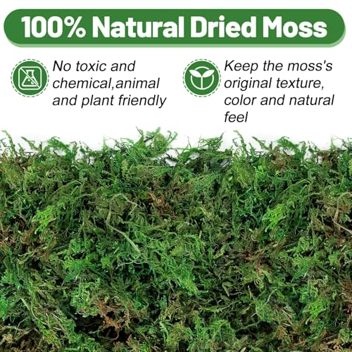 5oz Natural Green Moss for Plants Indoor - Dried Forest Real Moss for Crafts, Artificial Fairy Gardens, Mosswall, Glass Terrariums, Floral Design, Home Decor - style: 5oz