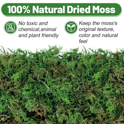 17oz Large Pack Natural Green Moss for Plants Indoor - Dried Forest Real Moss for Crafts, Artificial Fairy Gardens, Mosswall, Glass Terrariums, Floral Design, Home Decor - style: 17oz