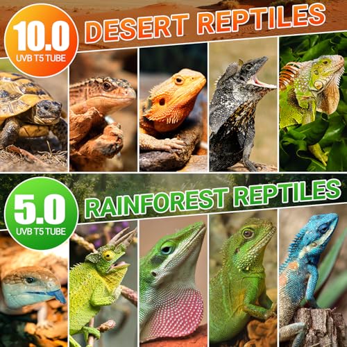 REPTI ZOO UVB Reptile Light, New Version T5 HO UVB Lighting Combo Kit, Reptile Terrarium Hood with 10.0 UVB Tube Bulb, Reptile Light Fixture 8W-12Inch - size: 8W-12Inch