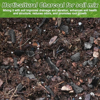 3 Quarts Horticultural Charcoal for Plants-Plant Charcoal Soil Amendment for Potting Indoor Plants, Succulent, Paphiopedilum, Bonsai, Terrarium,and Gardening - size: 3 Quarts