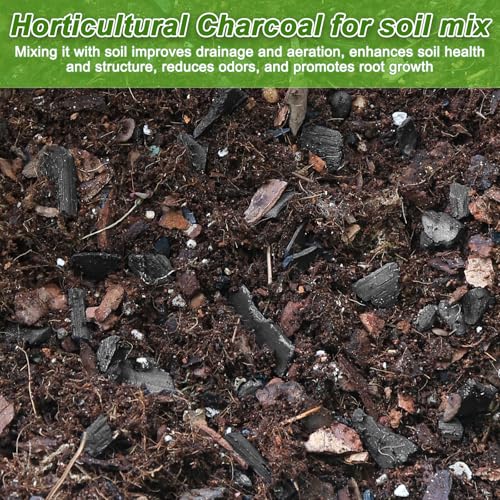 9 Quarts Horticultural Charcoal for Plants-Plant Charcoal Soil Amendment for Potting Indoor Plants, Succulent, Paphiopedilum, Bonsai, Terrarium,and Gardening - size: 9 Quarts