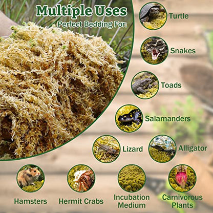 Riare 5.3 OZ Premium Sphagnum Moss for Reptiles 2 Pack Natural Compressed Coconut Fiber Substrate for Reptiles Terrarium Bedding for Tortoise, Frogs, Snakes Hermit Crabs, Burrowing Animals
