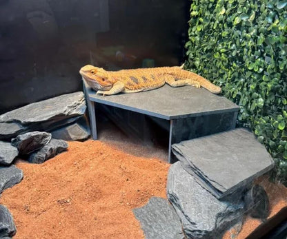 TheFrogHouse Slate Stone Reptile Hide 10x10x4 Bottomless Natural Cave Decor