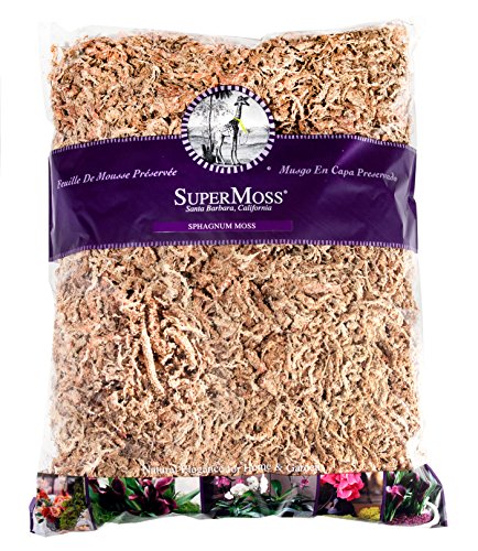 SuperMoss 7 59834 22303 0 Orchid Sphagnum Moss, 1400 in3 Bag (Appx. 32oz), Natural White - size: 2 lbs, style: Bag (1400 cu. in.)