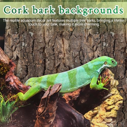 Didiseaon Cork Bark Reptile Tank Background 4 Pcs Cork Bark Pieces for Terrarium Aquarium Decorations Gecko Lizard Frog Bearded Dragon Enclosure Decor