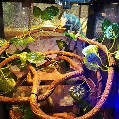 PINVNBY 5 PCS Bearded Dragon Hammock, Flexible Jungle Climber Reptile Vines Terrarium Decor Bearded Dragon Tank Accessories for Climbing, Chameleon, Lizards, Gecko, Snakes, Crested Gecko - size: 5 PCS