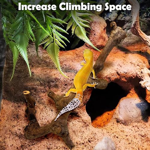 VCEPJH Snake Climbing Branch, 2Pcs Reptile Wood Natural Cork Log Tank Accessories Tree Trunk for Chameleon Bearded Dragon Gecko Snake Frog Spider(11.8 inches) - size: Grape Wood (S:11.8"-2pcs)