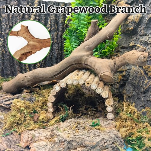 VCEPJH Snake Climbing Branch, 2Pcs Reptile Wood Natural Cork Log and 2 Pcs Reptile Plants with Suction Cup Amphibian Habitat Decor Artificial Leaves for Bearded Dragon, Lizard, Snake