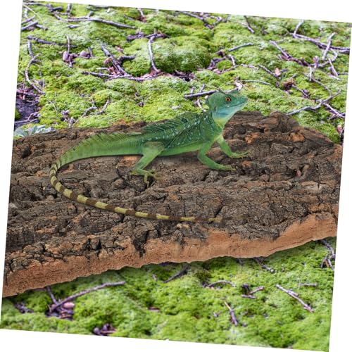2 Pcs Cork Bark Aquarium Decoration for Fish Tank Ornament Natural Tree Trunk Terrarium Background and Climbing Bark Reptile Habitat Decor for Snake and Gecko Fade Resistant Fish