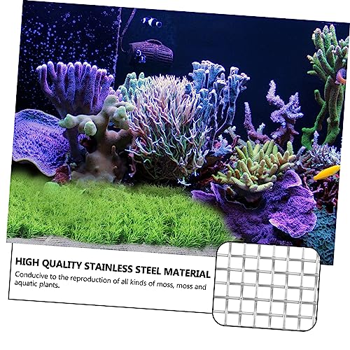 BESTonZON 10Pcs Stainless Steel Grass Plant Net for Aquarium Moss Fixed Mesh Rust-Resistant Fish Tank Accessory