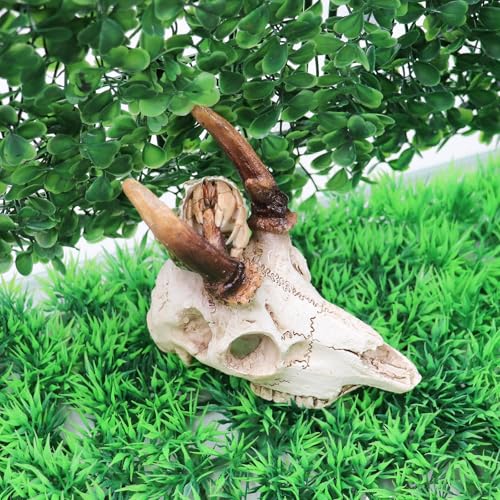 Reptile Decorations for Terrarium, Resin Skull Ornament Climbing Toy for Gecko, Tarantula Enclosure Accessories, Bearded Dragon Tank Accessories