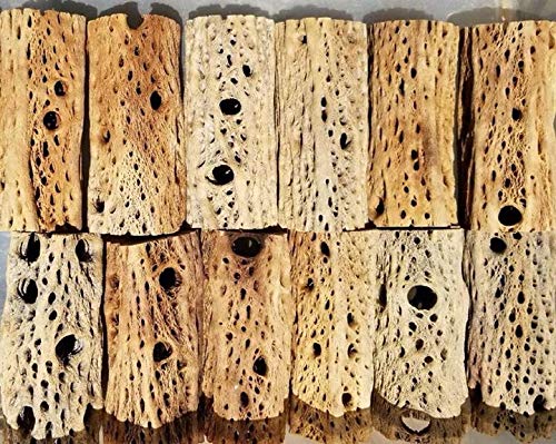 3-48 Inch All Natural Teddy Bear Cholla Wood Extra Hollow Large Untreated Organic Aquarium Driftwood Decoration Chew Toy Shrimp Crab Cichlid Nano Tank Birds 1 or 5 Pieces (1 Piece, 24 inch) - size: 1 Piece, 24 inch