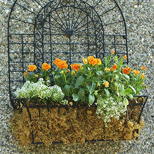 Mosser Lee ML0110 Long Fibered Sphagnum Moss – 432 cu in – High Water Retention, Soil-Free Gardening, Topiary Filler, Hanging Baskets, Crafts & Decoration - style: Spagnum Moss