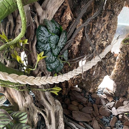 Hermit Crab Toys Tank – Reptile Terrarium Accessories Climbing, Jute Rope Ladder Lizards, Geckos Snakes | Tank - Reptile Terrarium Accessories Climbing Jute Rope Ladder Lizards Geckos S - color: Beige