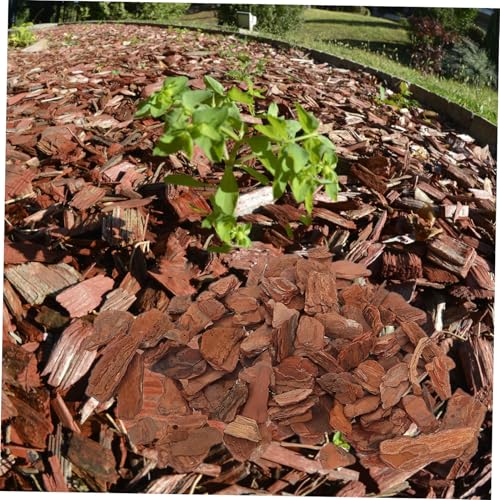 BESPORTBLE 1bag Natural Reptile Tank Decor Cypress Mulch Bark Chips Liner for Rainforest Habitat