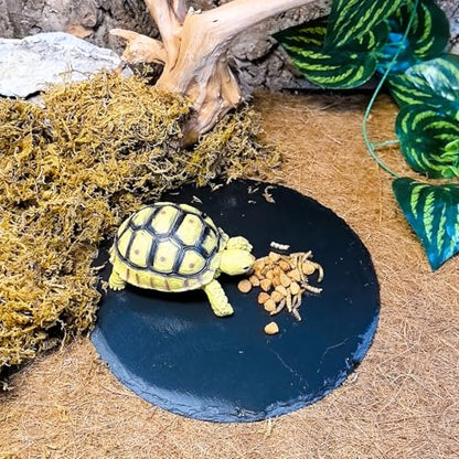 Reptile Basking Platform 2PCS 7.8IN Turtle Rock Slate Plate Feeding Plate Food Bowl Dish Tortoise Bathing Resting Terrace for Lizard Bearded Dragon Chameleon Gecko Snake Frog Newt - size: 7.8inch(2pcs)
