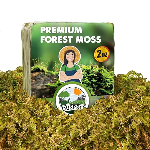 DUSPRO 2oz Dried Moss for Potted Plants, Forest Orchid Moss for Potting Mix, Sphagnum Potting Moss for Plants Indoor, Real Moss Soil Cover for Houseplant - color: 2 OZ