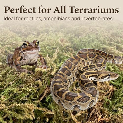 The Habitat Life - Natural Deco Moss - for Reptiles, Amphibians & Invertebrates Terrariums - Humidity Control - Natural Look & Feel - Soft Surface - Dye-Free & Safe - Medium - 2 Pack - size: Medium (2-Pack), style: Deco Moss