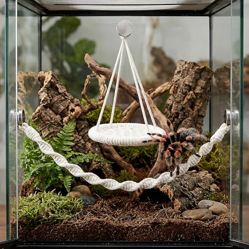 Jumping Spider Enclosure Decor with Strong Magnetic Attachments | Crafted from soft woven cotton for acrylic terrariums. This 10.6-inch rope bridge provides safe arboreal climbing play.
