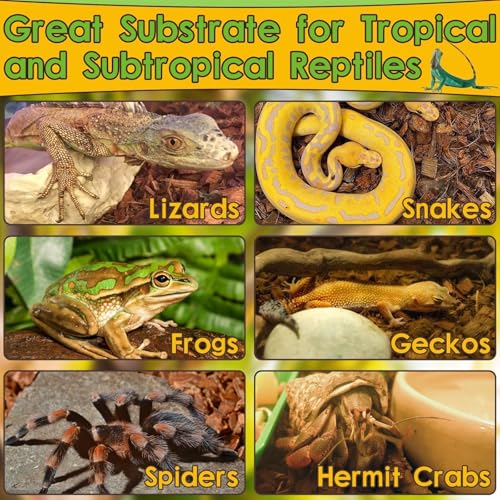 Halatool 2-Pack Coconut Husk Chips for Reptiles, Compressed Coco Chips Substrate for Snakes Tortoises Geckos Lizards Hermit Crab Ball Python - color: 2 Pack