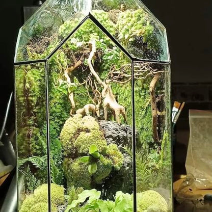 Azil Driftwood Deer Aquarium Decoration – Unique & Artistic Fish Tank & Terrarium Ornament, Safe & Eco-Friendly for Aquascaping & Reptile Habitats (Deer with Long Antlers)