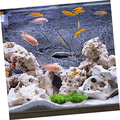 Abaodam 10pcs Stainless Steel Aquatic Moss Mesh for Fish Tank Planting Plant Fixed Net for Aquarium Accessories Easy to Install and