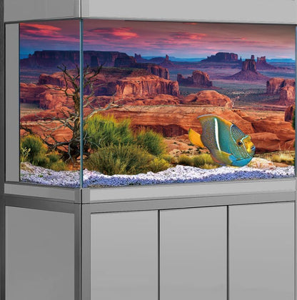 60X24IN Desert Loess Rock Cactus Oasis Reptile Habitat Background, Natural Sunset Desert Themed Terrarium Background, Aquarium Background with 10 EVA Double-Sided Tape - size: 60X24in/150X60cm