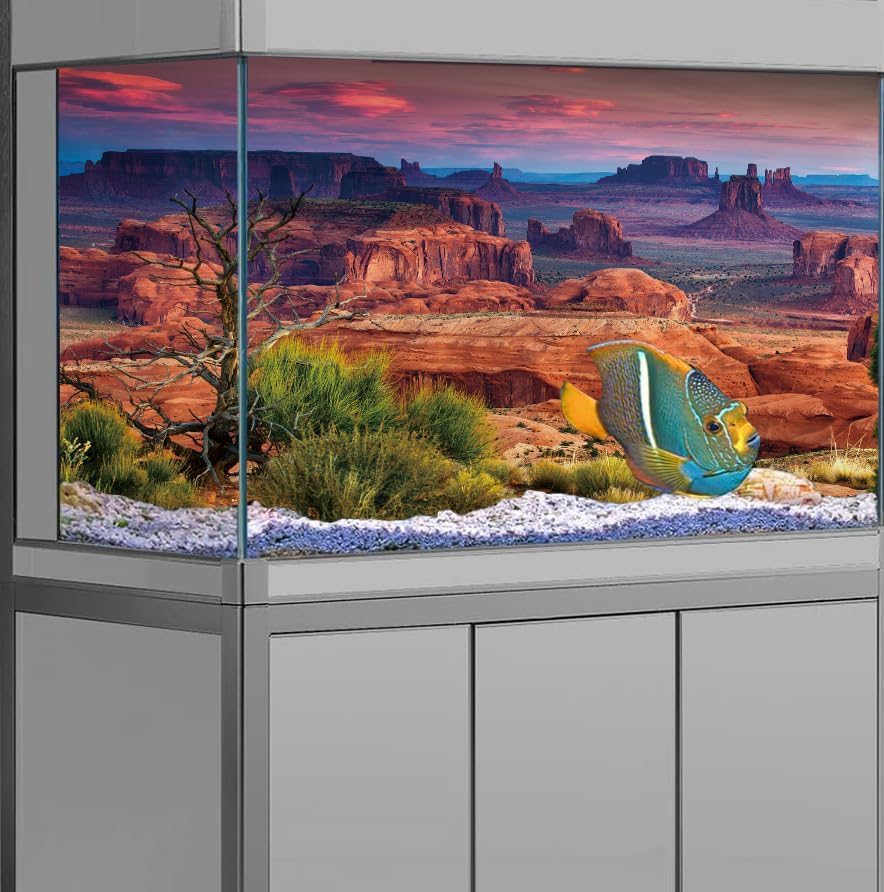 48X24IN Desert Loess Rock Cactus Oasis Reptile Habitat Background, Natural Sunset Desert Themed Terrarium Background, Aquarium Background with 10 EVA Double-Sided Tape - size: 48X24in/120X60cm