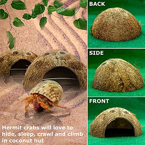 Hamiledyi Reptile Hideouts Natural Coconut Shells Hut Hermit Crab Climbing Toys and 4 Pcs Humid Hide for Leopard Gecko Moist Reptile Hide Box for Spider Snake Chameleon