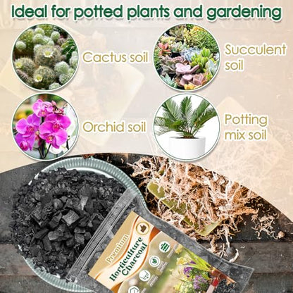 Horticultural Charcoal for Plants,Enhance Drainage and Improve Soil,Premium Activated Charcoal for Plants Indoor & Outdoor,Suitable Succulents,Orchids,Cacti,Gardening-1 QT