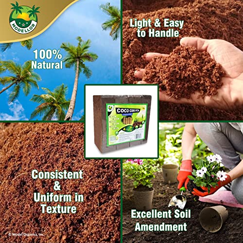 MODELLOR Coco Coir Bricks, 4-Pack (5 lb) – Premium Super Washed, Yields 9 Gallons (36 Quarts), Organic, pH-Balanced Growing Medium for Seed Starting & Gardening