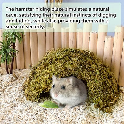 kathson 2Pcs Hamster Hideout, Hamster House, Natural Mossy Coconut Hut, Pet Hiding House, Small Animal Cage Accessories for Mouse Mice Rat Guinea Pigs Reptiles - size: 2 PCS