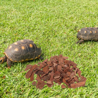 TOYANDONA Reptile Bark Chips Bedding 3-5cm Pine Bark Pieces Natural Terrarium Substrate for Turtle and Lizard Tank Environment Decoration Pet Cage Landscaping Material