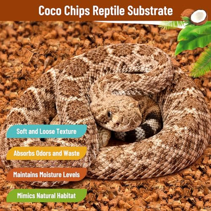 Riare 6 Pack Natural Coconut Chip Substrate for Reptiles- Compressed Coconut Husk Reptiles Bedding, Coco Husk Chip Terrarium Substrate for Snakes, Tortoises, Ball Python, Frogs, Bearded Dragon, Lizard - color: 6 Pack