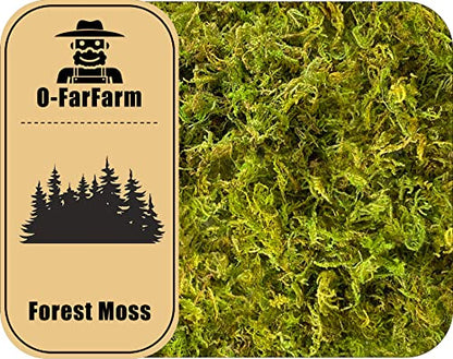 Dried Forest Moss for Plants 5.3oz / 3qt, Green Orchid Sphagnum Moss, Long Fibered Dried Moss for Succulents Garden Flowers Pot and Reptiles - size: 3qt/5.3oz
