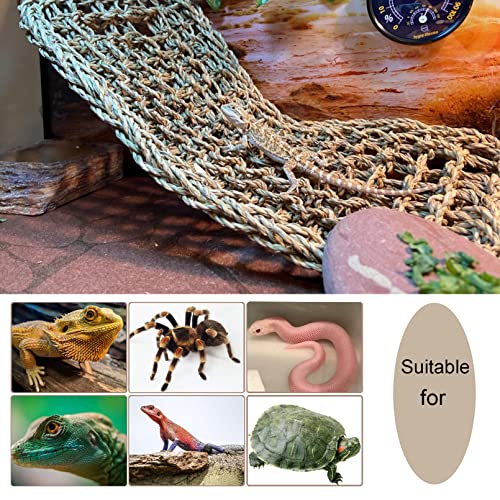 Bearded Dragon Hammock,Reptile Lounger Lizard Natural Seagrass Habitat Decor Reptiles Tank Hanging Plants Jungle Climber Vines Flexible Leaves Accessories for Lizards Chameleon Gecko Corn Snakes