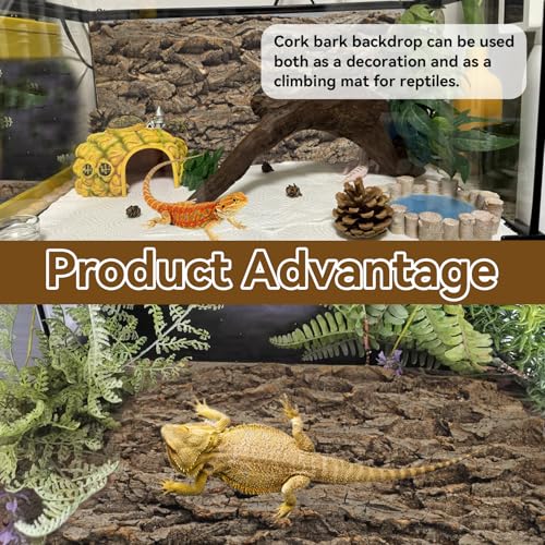 4PCS Reptile Tank Background,11.81 x 11.81 Inch Terrarium Cork Bark Background Bearded Dragon Tank Backdrop Natural Reptile Cork Bark Mat for Lizard Gecko Chameleon Tortoise Snake Spider Frog - size: 【11.81 x 11.81 In】