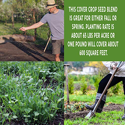 Mountain Valley Seed Co No-Till Garden Farm and Garden Cover Crop Mix Seeds | 5 Lbs - Blend of Gardening Cover Crop Seeds: Hairy Vetch, Daikon Radish, Forage Collards, Triticale, More - size: 5 lbs