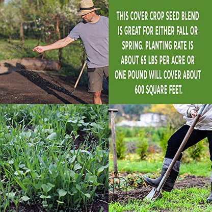 Mountain Valley Seed Co No-Till Garden Farm and Garden Cover Crop Mix Seeds | 5 Lbs - Blend of Gardening Cover Crop Seeds: Hairy Vetch, Daikon Radish, Forage Collards, Triticale, More - size: 5 lbs
