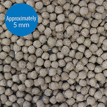 API CICHLID LARGE PELLETS Large Floating Pellets Fish Food 7.1-Ounce Container